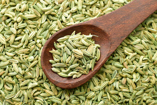 Fennel Seeds 100g whole