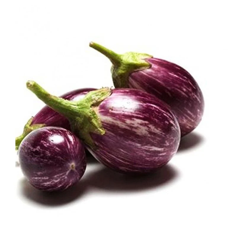 Fresh striped Indian brinjal eggplant available by weight at Desi Dubai