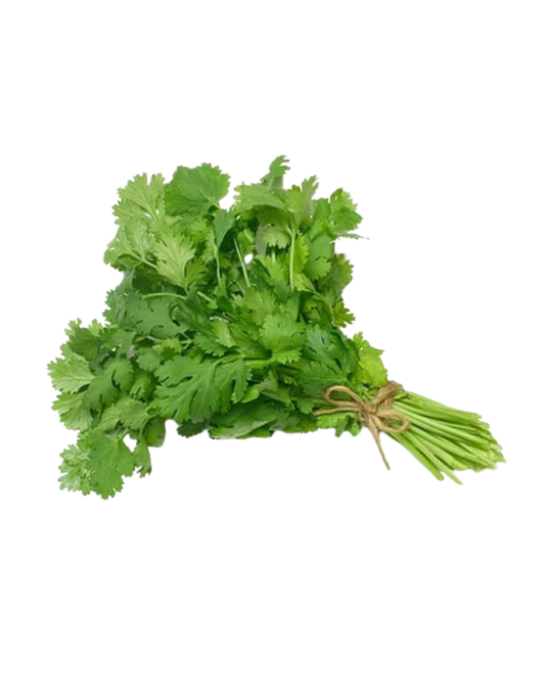 Fresh Coriander Leaves - 1 Pc