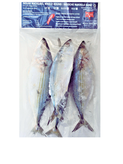 Mražená indická makrela – celá (1 kg)